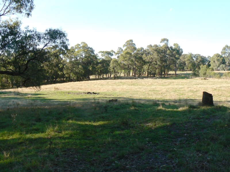 2705 Colac Forrest Road, Forrest, Vic 3236