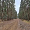 35262 Albany Highway, Drome, WA 6330