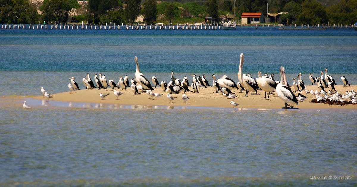 Commercial Real Estate Agents in Tuncurry, NSW 2428