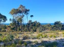 Lot 32 Malibu Street, Scamander, Tas 7215