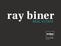 Eview Group - Ray Biner Real Estate