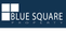 Blue Square Property