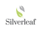 Silver Leaf Investments - Fremantle