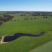1482 Back Creek Road, Young, NSW 2594