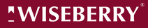 Wiseberry Bankstown - BANKSTOWN logo