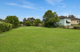 107 Waldron Road Chester Hill NSW 2162