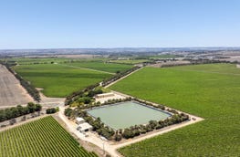 Langhorne Creek, 179 Milang Road Belvidere SA 5255