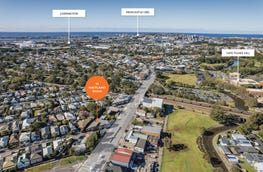 15 Maitland Road Mayfield East NSW 2304