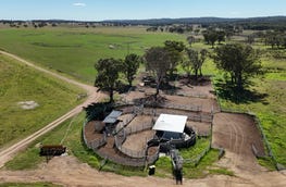 Palgrove, 555 Palgrave Road Dalveen Qld 4374