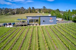 Velo Wines, 755 West Tamar Highway Legana Tas 7277