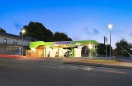 Dorset Car and Dog Wash, 6 King Street Scottsdale Tas 7260