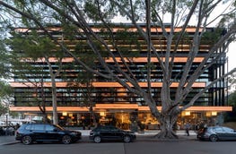 2/24 Bay Street Double Bay NSW 2028