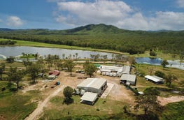 4684 Mulligan Highway Lakeland Qld 4871