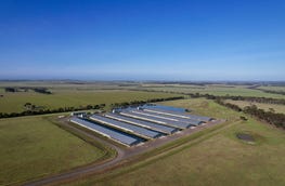 Somerset Poultry, 124 Windermere Road Murgheboluc Vic 3218