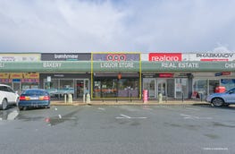 19 Welwyn Avenue Manning WA 6152