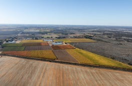 888 Produce, 3784 Walnut Avenue Koorlong Vic 3501