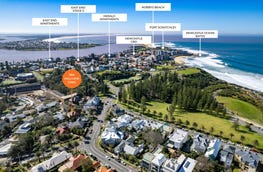 20A Hillview Crescent The Hill NSW 2300