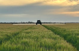  Jandowae Qld 4410