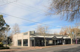 Shop 3, 169 - 171 Goodwood Road Millswood SA 5034