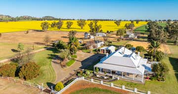 'The Ranch', 739 Rivers Road Canowindra NSW 2804 - Image 1