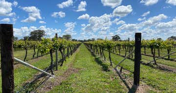 Sienna Vineyard Riddoch Highway Penola SA 5277 - Image 1