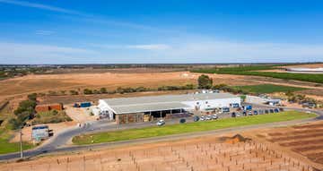 29 Kernich Street Renmark West SA 5341 - Image 1