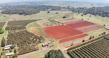 767 Peeramon Road Peeramon QLD 4885 - Image 1