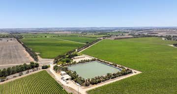 Langhorne Creek, 179 Milang Road Belvidere SA 5255 - Image 1
