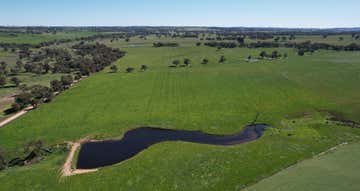 1482 Back Creek Road Young NSW 2594 - Image 1