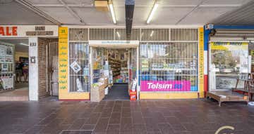 25 The Crescent Fairfield NSW 2165 - Image 1