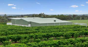 3129 Olympic Highway Young NSW 2594 - Image 1