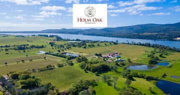 Holm Oak Vineyards, 11 West Bay Road Rowella TAS 7270 - Image 1