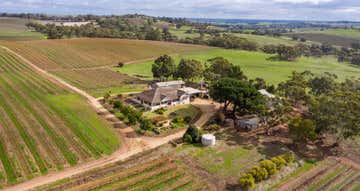 Rendlen Ridge Vineyard , 130 Heinze Road Seppeltsfield SA 5355 - Image 1