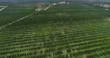 Bucca QLD 4670 - Image 1