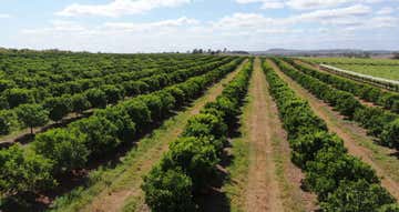 Red Farm, Glenrae Dip Road Glenrae QLD 4626 - Image 1