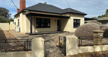 20 Ann Street Salisbury SA 5108 - Image 1