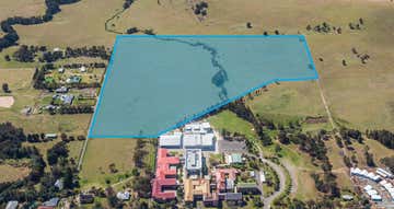 20 Cantwell Road Lochinvar NSW 2321 - Image 1