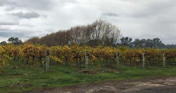 Thompson Vineyard 112 Old Comaum Road Coonawarra SA 5263 - Image 1