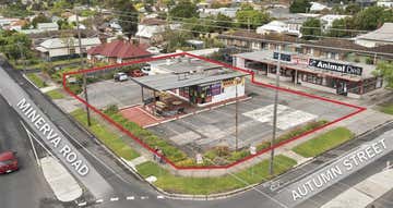 149 Minerva Road Newtown VIC 3220 - Image 1