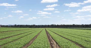 Market Garden Portfolio Maffra VIC 3860 - Image 1