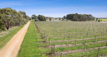 880 Winchelsea-Deans Marsh Road Winchelsea South VIC 3241 - Image 1