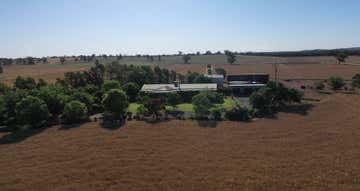 893 Deaths Lane Caragabal NSW 2810 - Image 1