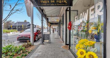 100 King William Road Hyde Park SA 5061 - Image 1