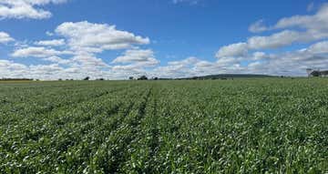 Wilgaroi, 207 Wilgaroi Road Bellata NSW 2397 - Image 1