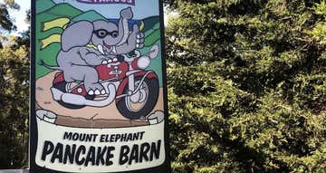 Mt Elephant Pancakes, 824 Elephant Pass Road St Marys TAS 7215 - Image 1
