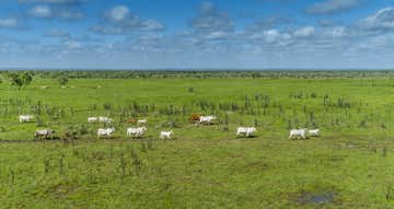 Forrest Hills Station, NT Portions 6366, 7493 and 5145
Perpetual Pastoral Lease 1190
Carpentaria Highway Daly Waters NT 0852 - Image 1