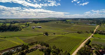 Owens Own Vineyard 171 Neldner Road Marananga SA 5355 - Image 1