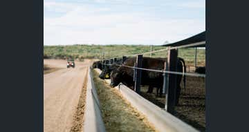 Proston QLD 4613 - Image 1