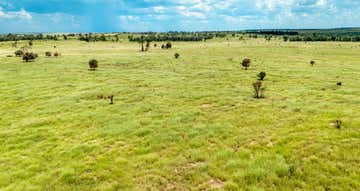 Taylors Plains, 10077 Hoganthulla Road Mungallala QLD 4467 - Image 1