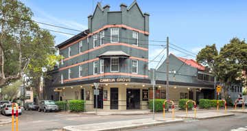 Camelia Grove Hotel 146-150 Henderson Road Alexandria NSW 2015 - Image 1